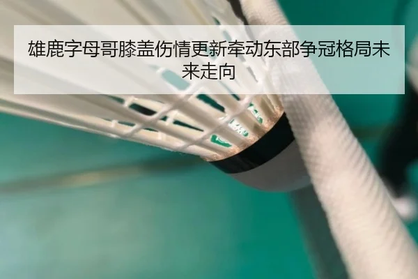 雄鹿字母哥膝盖伤情更新牵动东部争冠格局未来走向